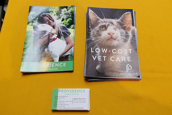 Adopt-Pet-KOP-Simon_0005
