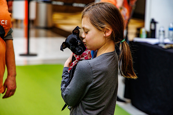 Adopt-Pet-KOP-Simon_0143