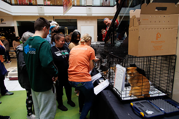Adopt-Pet-KOP-Simon_0037