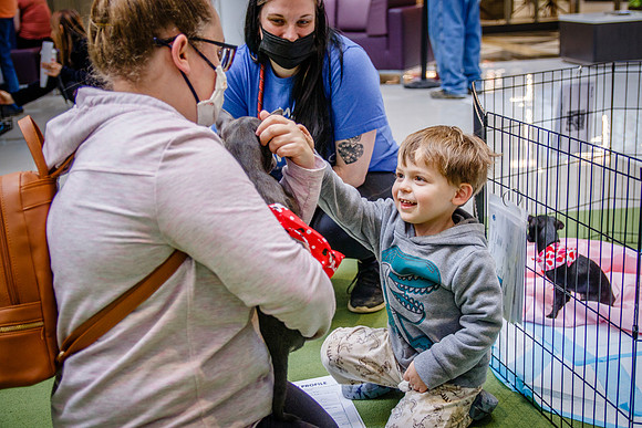 Adopt-Pet-KOP-Simon_0186