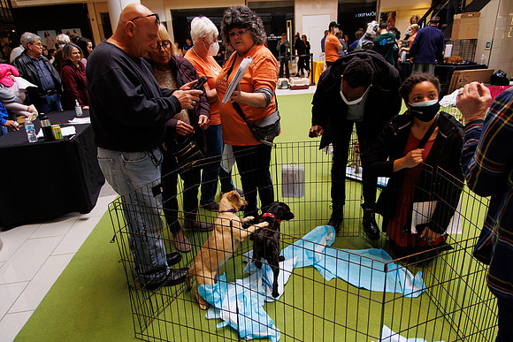 Adopt-Pet-KOP-Simon_0045
