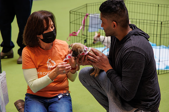 Adopt-Pet-KOP-Simon_0038