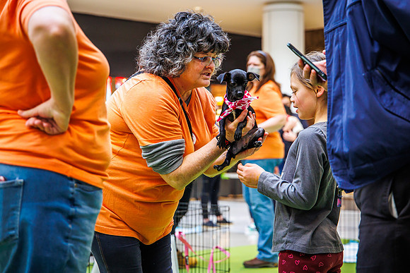 Adopt-Pet-KOP-Simon_0141