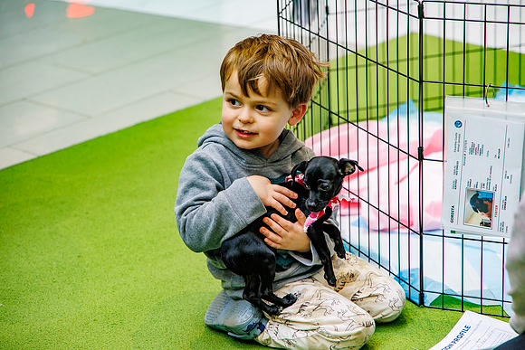 Adopt-Pet-KOP-Simon_0174