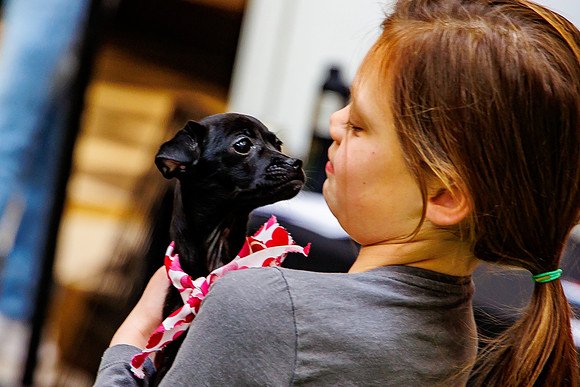 Adopt-Pet-KOP-Simon_0145