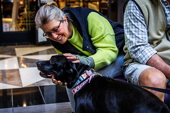 Adopt-Pet-KOP-Simon_0140