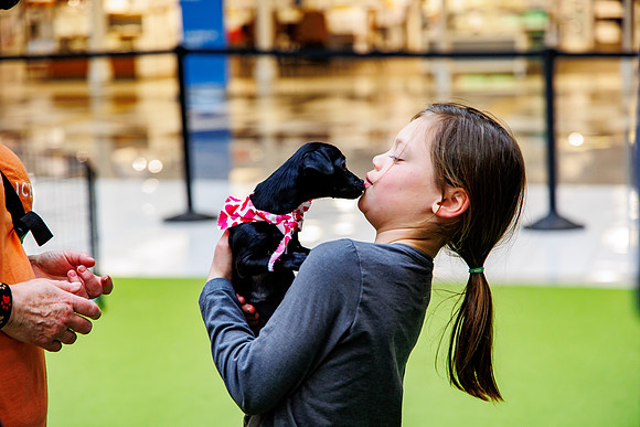 Adopt-Pet-KOP-Simon_0142