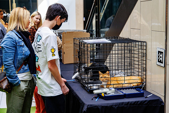 Adopt-Pet-KOP-Simon_0205