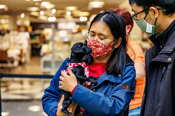 Adopt-Pet-KOP-Simon_0201