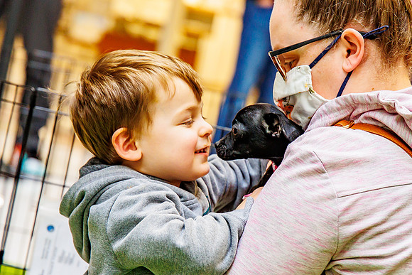 Adopt-Pet-KOP-Simon_0179