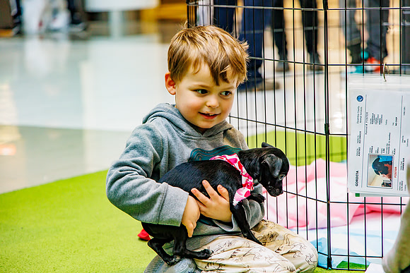 Adopt-Pet-KOP-Simon_0176