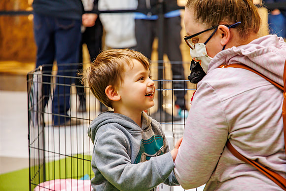 Adopt-Pet-KOP-Simon_0177