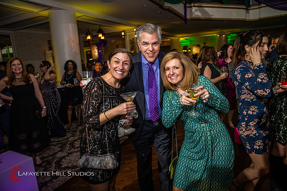 DAH-2019_0387