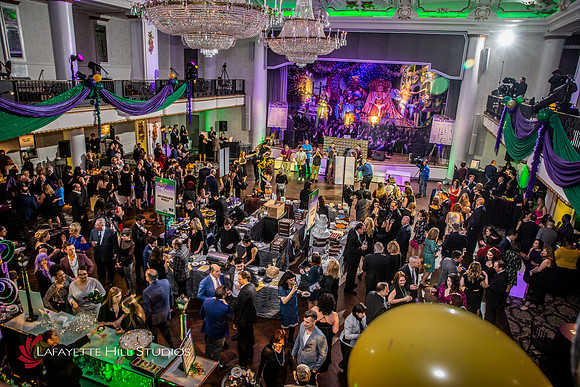 DAH-2019_0397