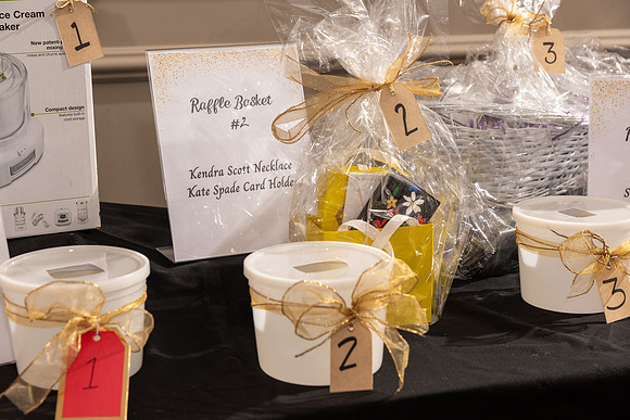 ALS Hope Foundation2024Gala0004