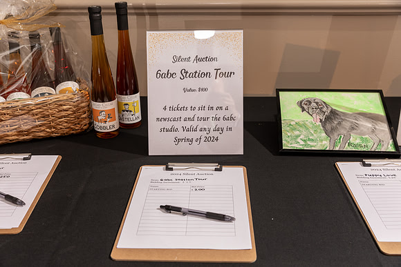 ALS Hope Foundation2024Gala0044