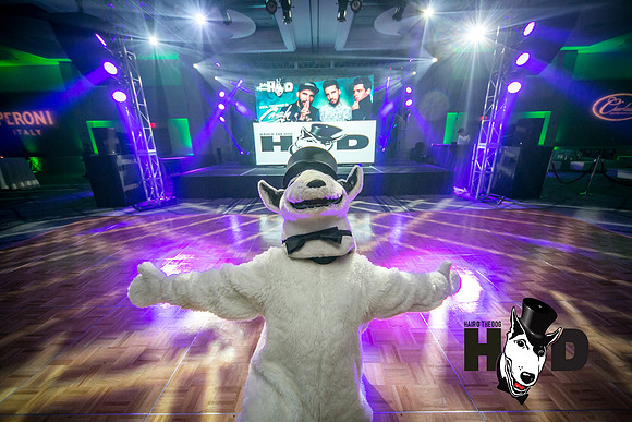 #HOD2018_0040