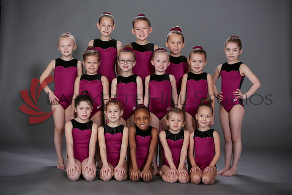 Spirit_Gymnastics_Level_1_MFS_0392_0001