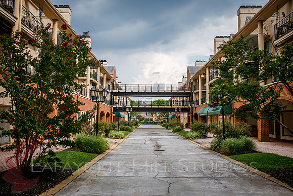 Mansion2021_0085