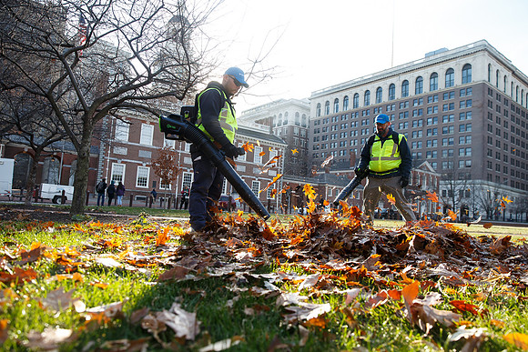 Brightview-Greenworks_0103