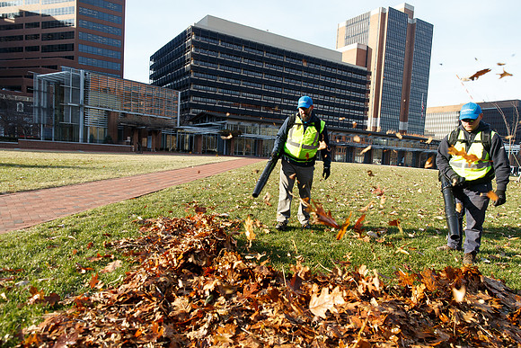 Brightview-Greenworks_0090