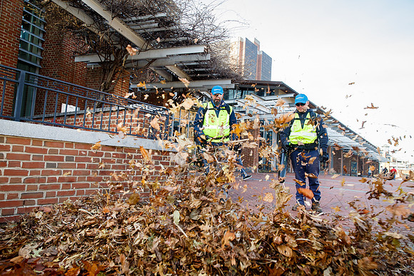 Brightview-Greenworks_0013