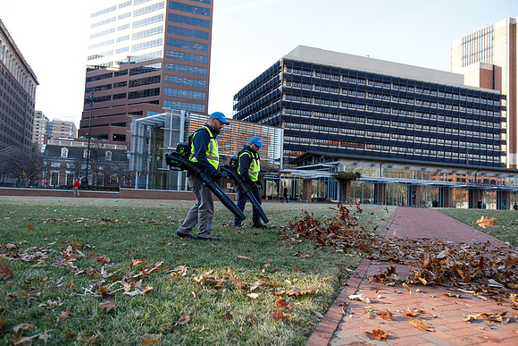 Brightview-Greenworks_0143