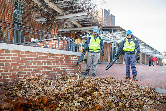 Brightview-Greenworks_0011