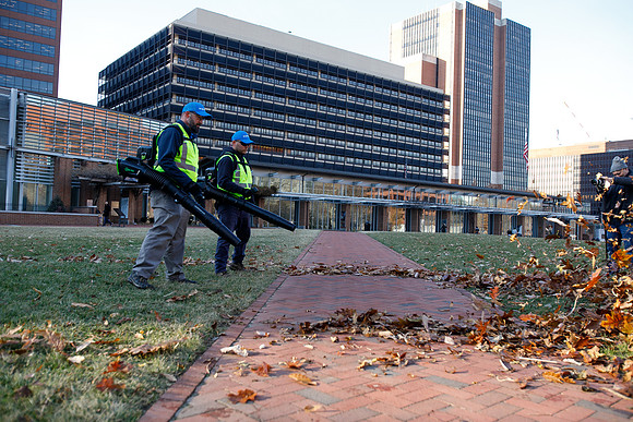 Brightview-Greenworks_0146