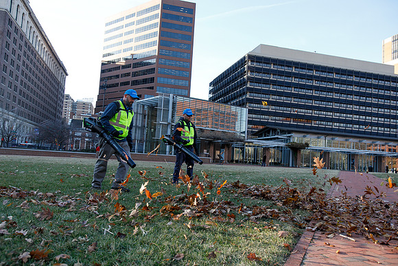 Brightview-Greenworks_0140