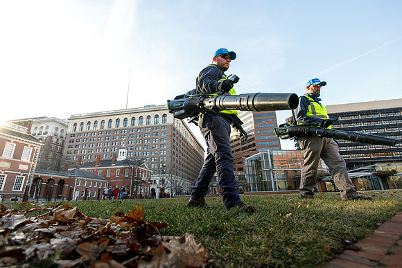 Brightview-Greenworks_0156