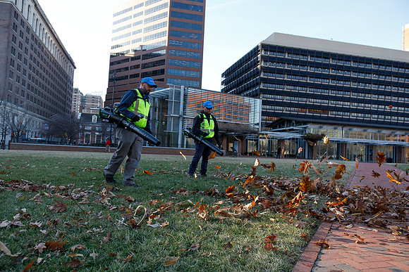 Brightview-Greenworks_0141