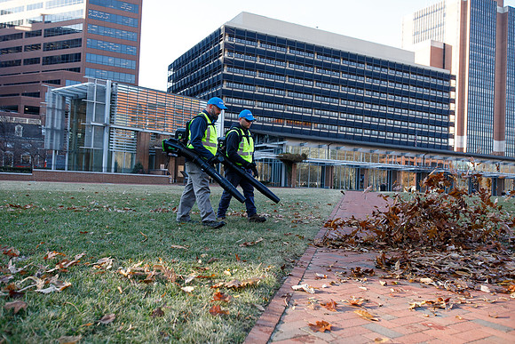 Brightview-Greenworks_0145