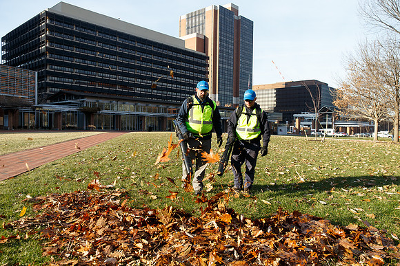 Brightview-Greenworks_0087