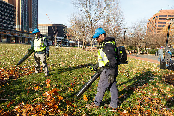 Brightview-Greenworks_0114
