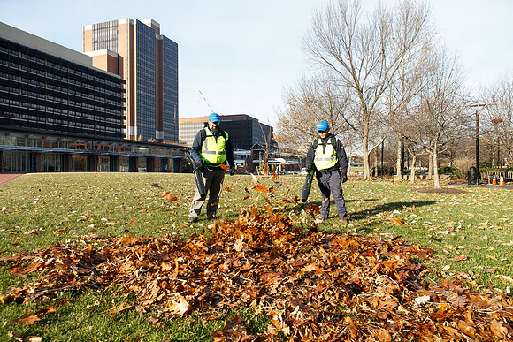 Brightview-Greenworks_0084