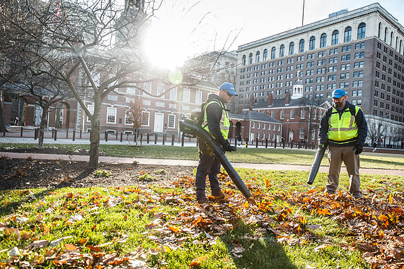 Brightview-Greenworks_0111