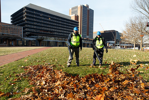 Brightview-Greenworks_0088
