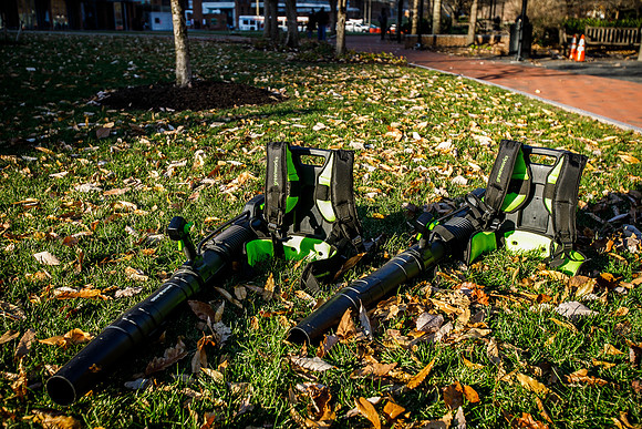 Brightview-Greenworks_0157