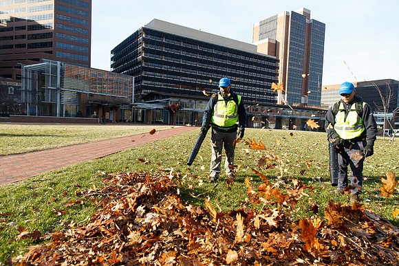Brightview-Greenworks_0089