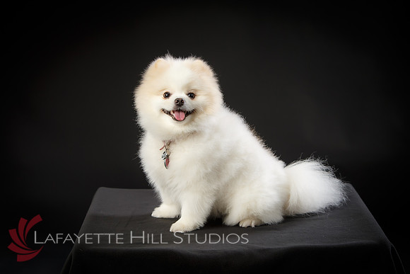 Kaye_0005