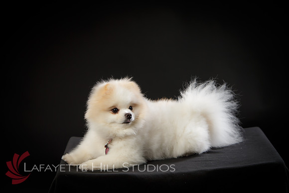 Kaye_0021