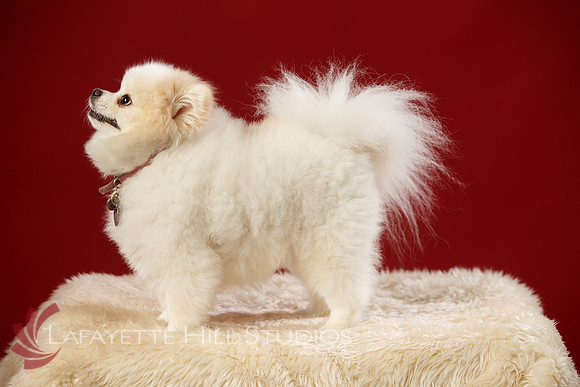 Kaye_0026