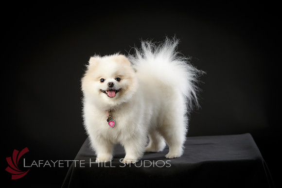 Kaye_0002