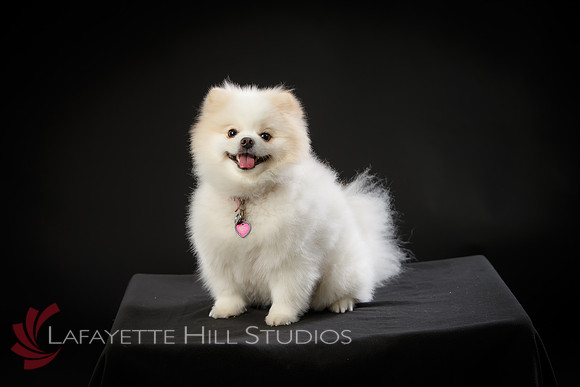 Kaye_0019