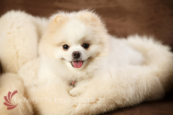 Kaye_0039