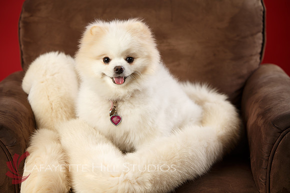 Kaye_0034