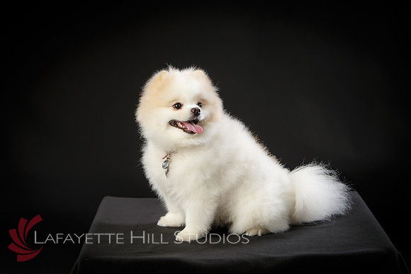 Kaye_0004