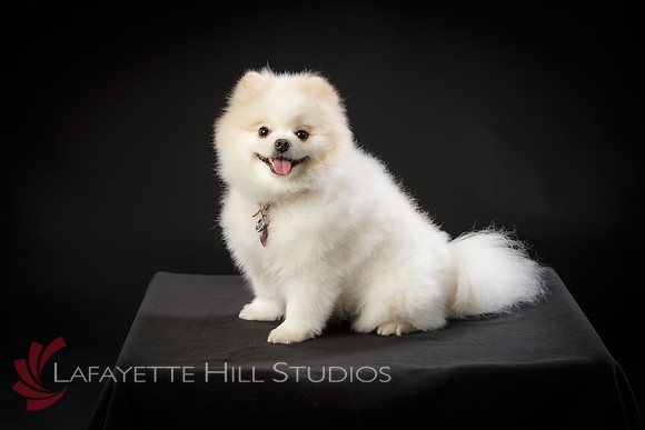Kaye_0006