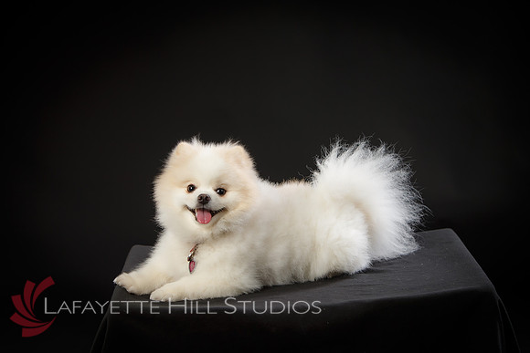Kaye_0020